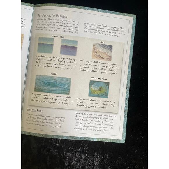 The Secret History of Mermaids and Creatures of the Deep by Professor Ari Berk - Picture 9 of 16